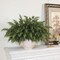 12 Pcs Artificial Cedar Branch Faux Greenery Plants Stem (Green) 8"D x 8"W x 18"H